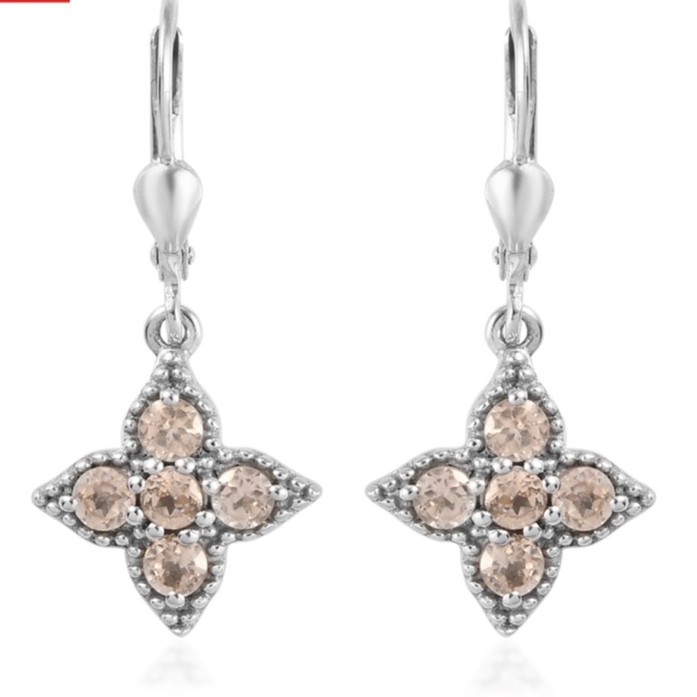 Imperial Garnet Earrings. NWOT.